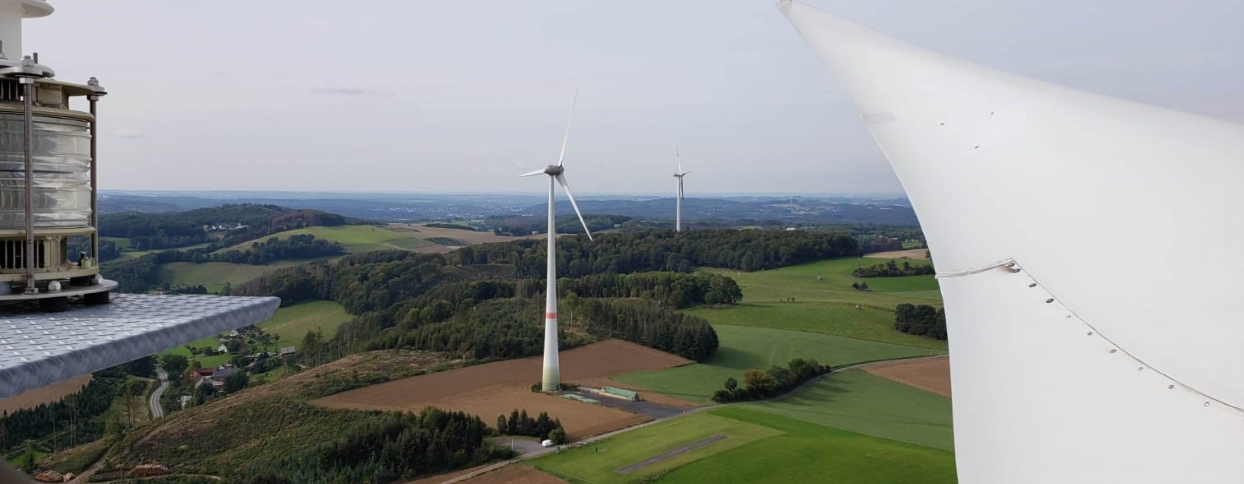 Forstschutz durch Windenergie
